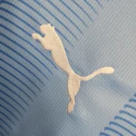 لباس کلاسیک منچستر سیتی 2024-2023 (اول) - Image 4