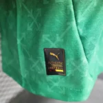 لباس آث میلان 2025-2024 (چهارم-player version) مشکی سبز - Image 6